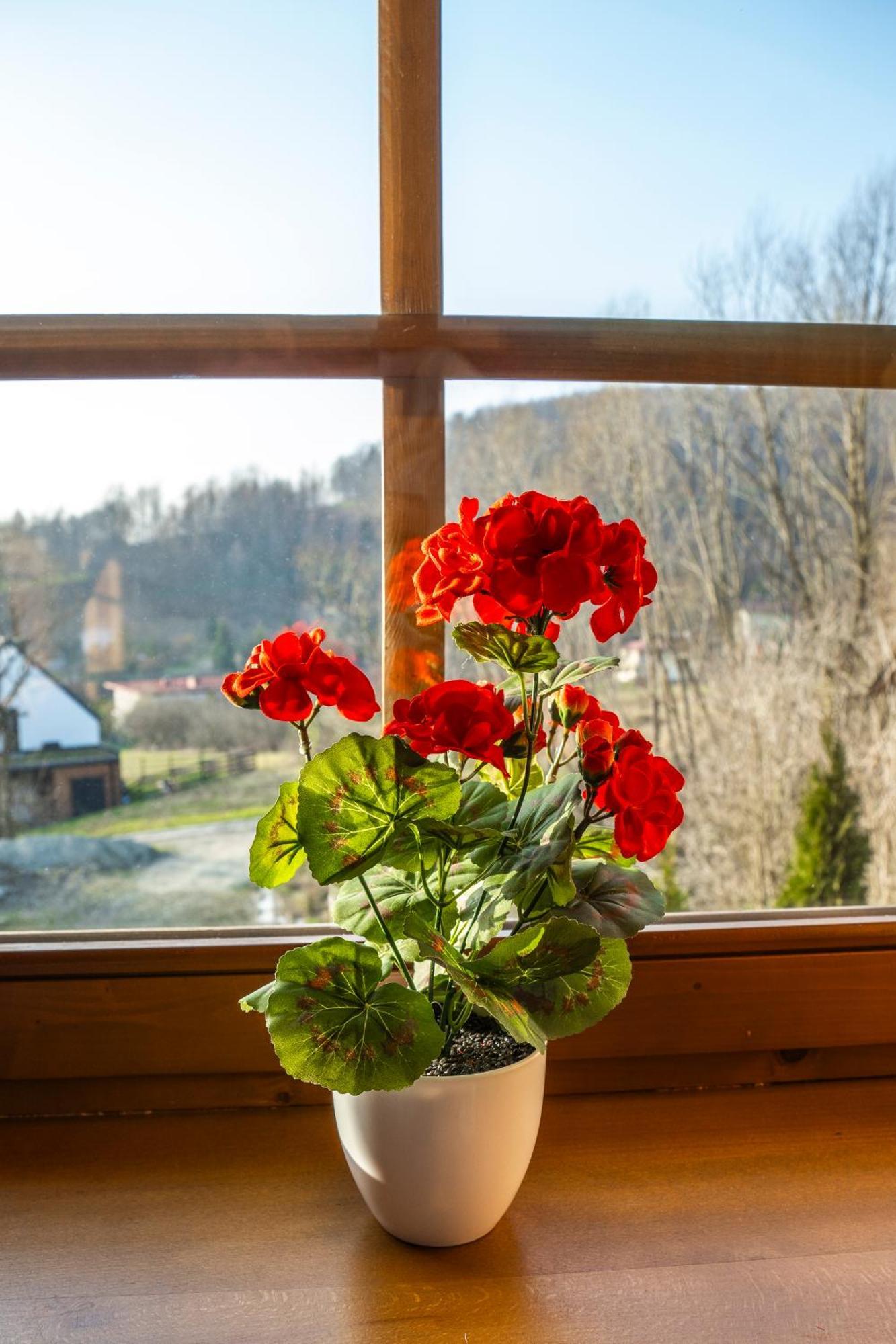 Vila Jaworowa Osada Brenna Exteriér fotografie